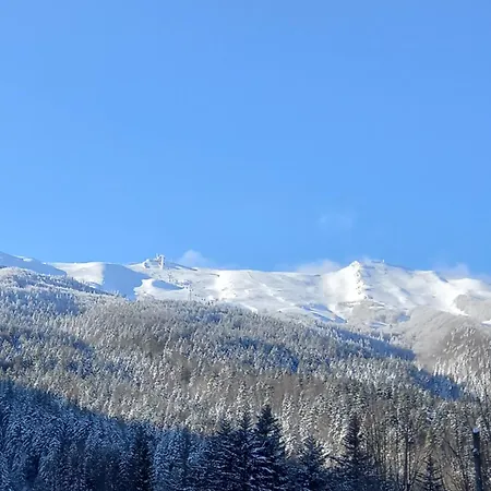 Le Marmotte -